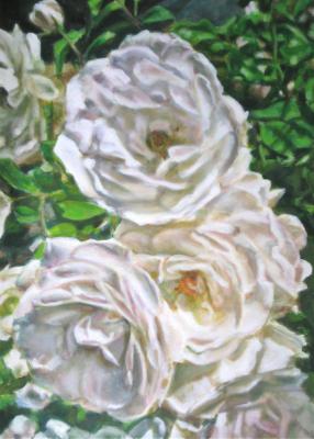 White Roses 3